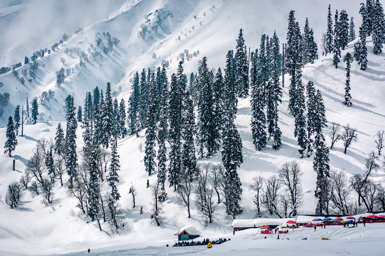 Snow-covered forest and slopes above Gulmarg, Kashmir